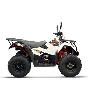 Квадрицикл KAYO AU300 EFI (белый) ПТС
