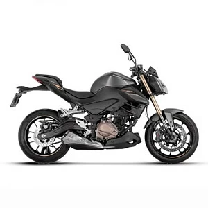 Мотоцикл Regulmoto T-Leopard 300 (Черный, , 100015-3)