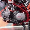 Питбайк ROCKOT BASIC 125 Demoniac 2.0 (механ. сцепл., 17/14)