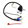 Жгут проводов PITONMOTO PX7