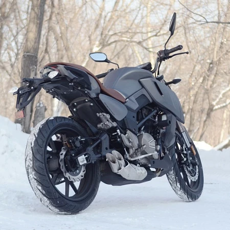 Мотоцикл Regulmoto ALIEN MONSTER 300 (Серебро, , 100012-11)