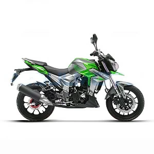 Мотоцикл Regulmoto T-Leopard 300 (Зеленый, , 100015-2)