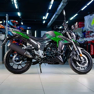 Мотоцикл Regulmoto T-Leopard 300 (Зеленый, , 100015-2)